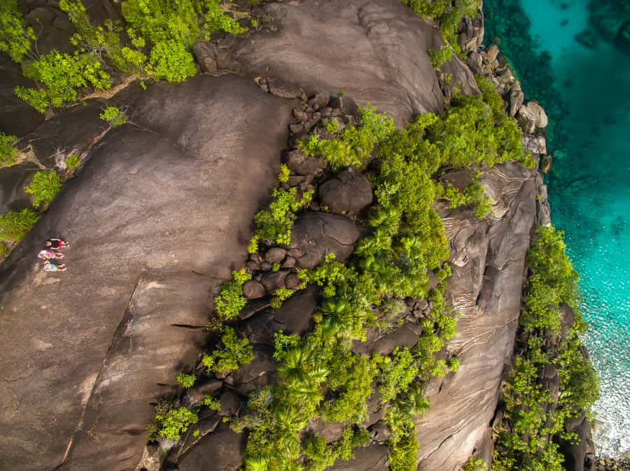 From Mahe: Guided Nature Trail Walk to Anse Major Beach - What the $270 group price really buys