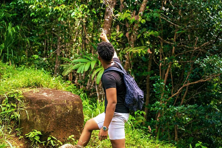 From Mahe: Guided Nature Trail Walk to Morne Blanc - Reaching the Morne Blanc viewing platform