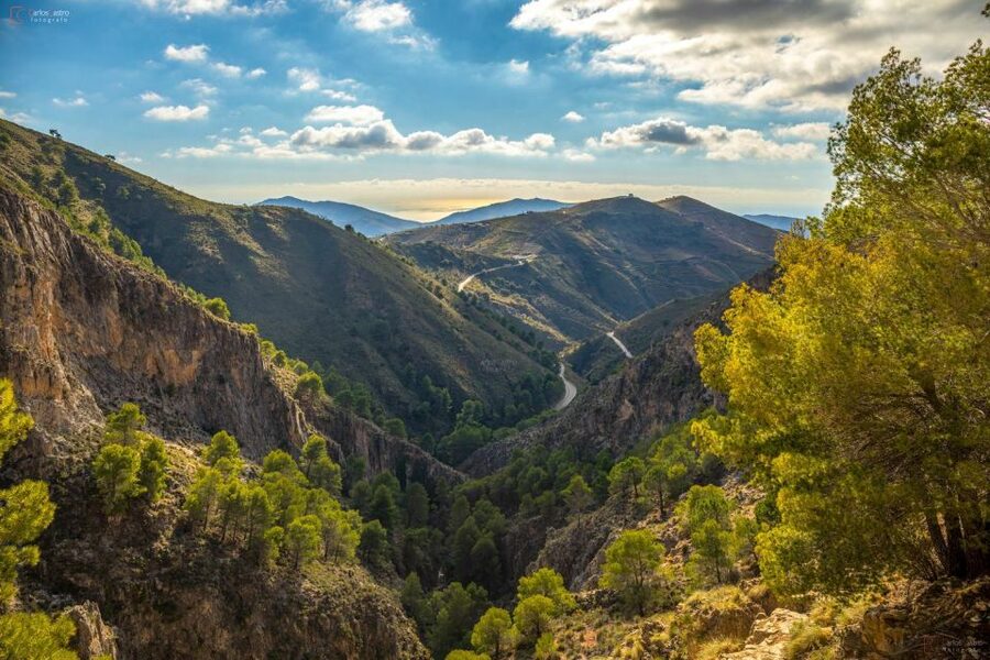 From Málaga: El Saltillo Gorge and White Village Hiking Tour - Canillas del Aceituno gives the hike a human beginning