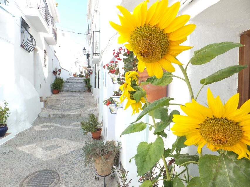 From Málaga: Frigiliana Hiking Tour with Wine & Appetizers - Key points at a glance