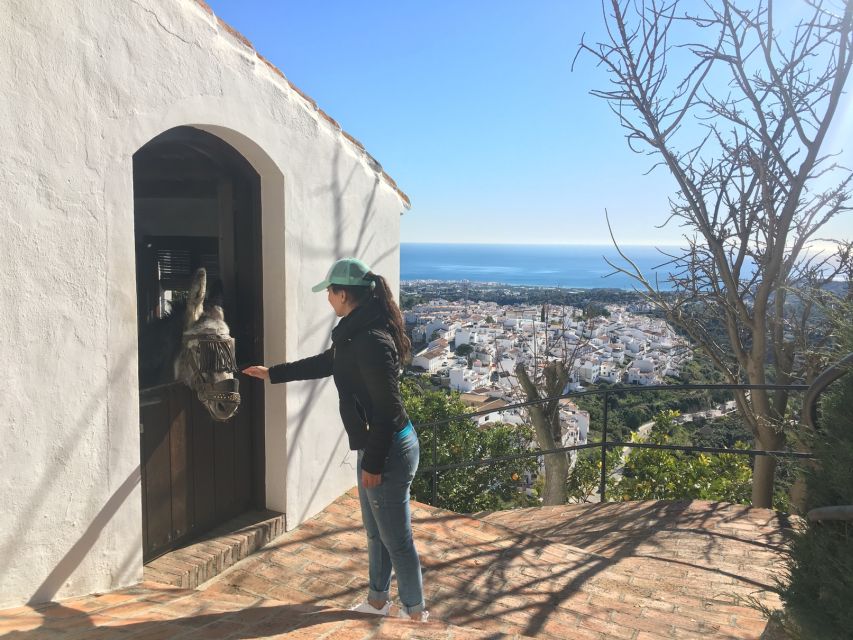 From Málaga: Frigiliana Hiking Tour with Wine & Appetizers - Avocado plantations and the business of water
