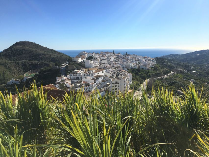 From Málaga: Frigiliana Hiking Tour with Wine & Appetizers - Who should book this walk