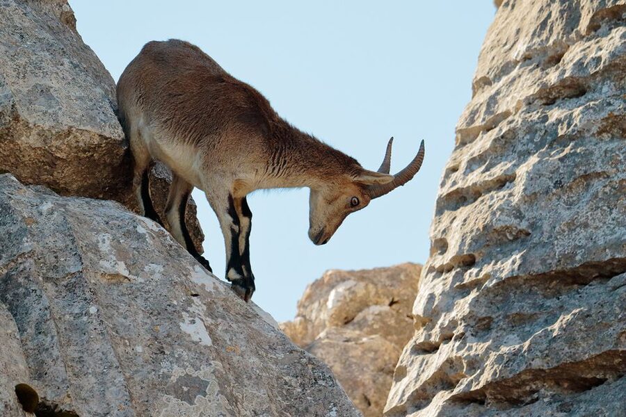 From Malaga: Torcal de Antequera Hiking Tour - Why El Torcal feels unlike Málaga