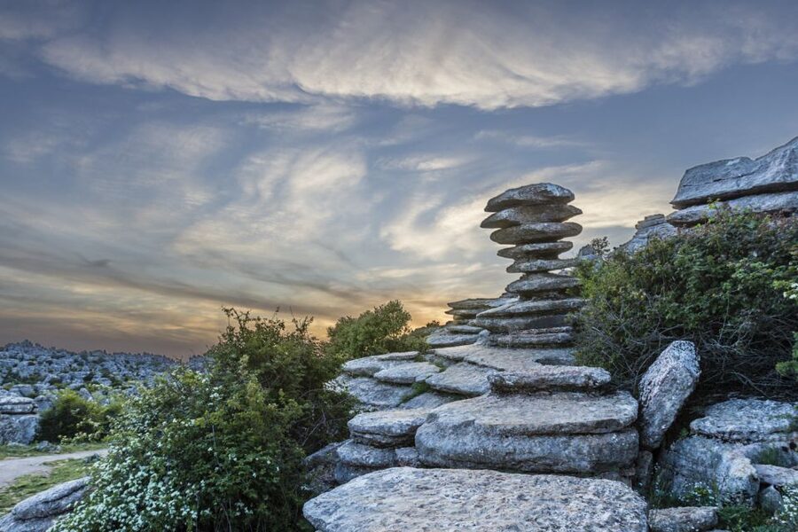 From Malaga: Torcal de Antequera Hiking Tour - Wildlife sightings require patience