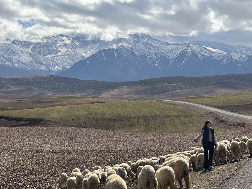 From Marrakech: Atlas Mountains 4-Day Hike with Hotels - What this Atlas Mountains trek is really like