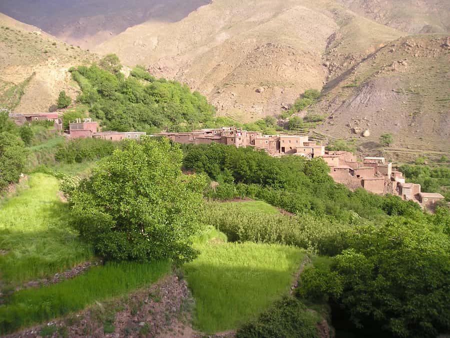 From Marrakech: Ourika Valley Trip, Waterfall Hike & Lunch - Lunch beside the Ourika River