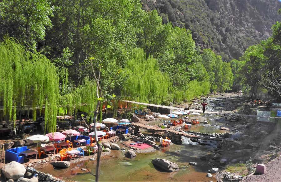 From Marrakech: Ourika Valley Trip, Waterfall Hike & Lunch - A closer look at the seven-hour schedule