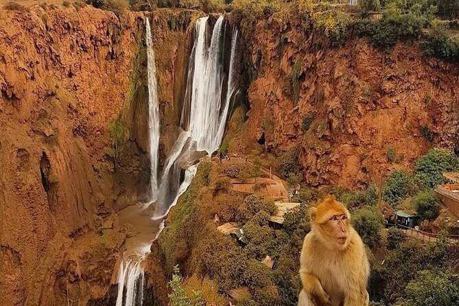 From Marrakech: Ouzoud Waterfalls Guided Hike and Boat Trip - The Descent to the Pool