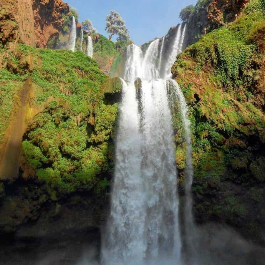 From Marrakech: Ouzoud Waterfalls Guided hike & boat Ride - Lunch with a view of the falls
