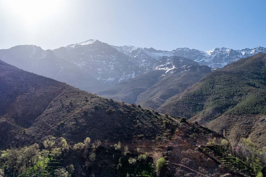 From Marrakesh: Atlas Mountains Talamrout Summit Day Hike - Key points to know before booking