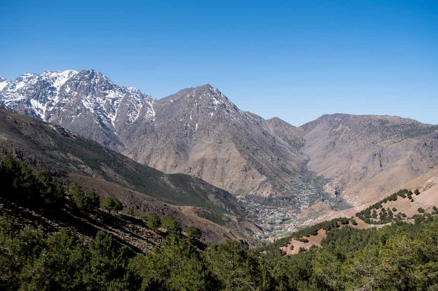 From Marrakesh: Atlas Mountains Talamrout Summit Day Hike - Guides, group size, and the feel of the day
