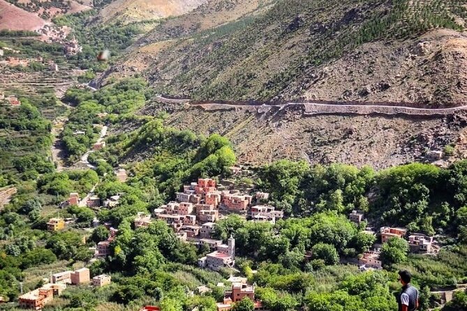 From Marrakesh: Zip-Line & Hike in the Atlas Mountains - Four zip-lines above the pine forest
