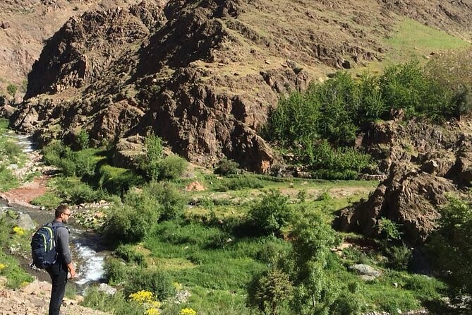From Marrakesh: Zip-Line & Hike in the Atlas Mountains - Into the Atlas Mountains for a guided village walk