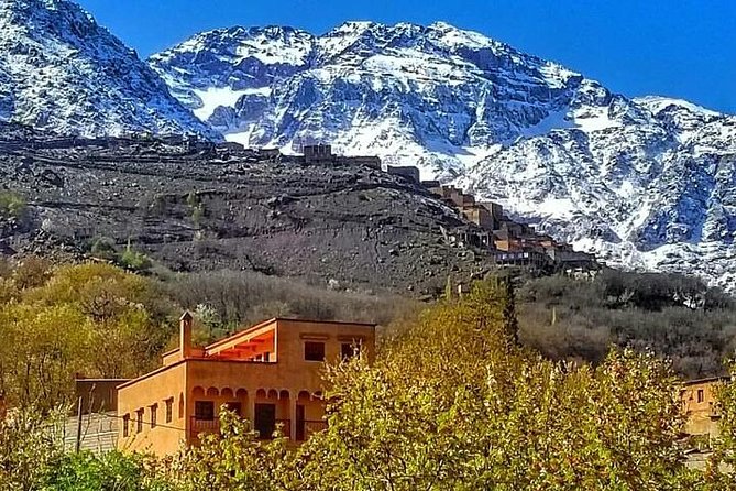 From Marrakesh: Zip-Line & Hike in the Atlas Mountains - Tahnaout brings tea, argan oil, and the first mountain views