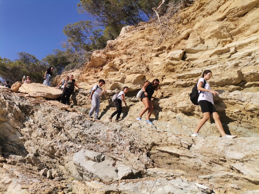 From Marseille: Calanques National Park Guided Hike - The beach break: picnic, cold water, and time to relax