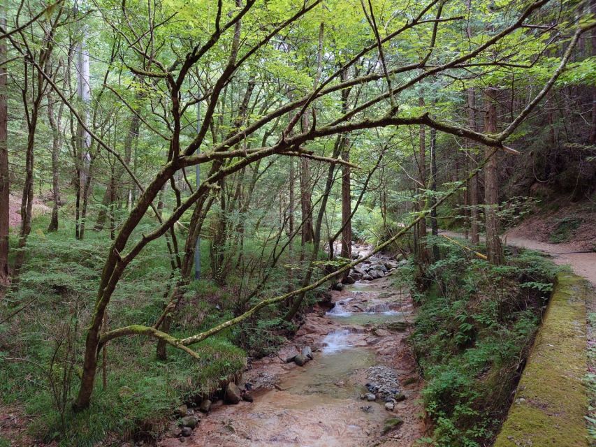 From Matsumoto/Nagano: Nakasendo Trail Walking Tour - The 8-km trail to Magome