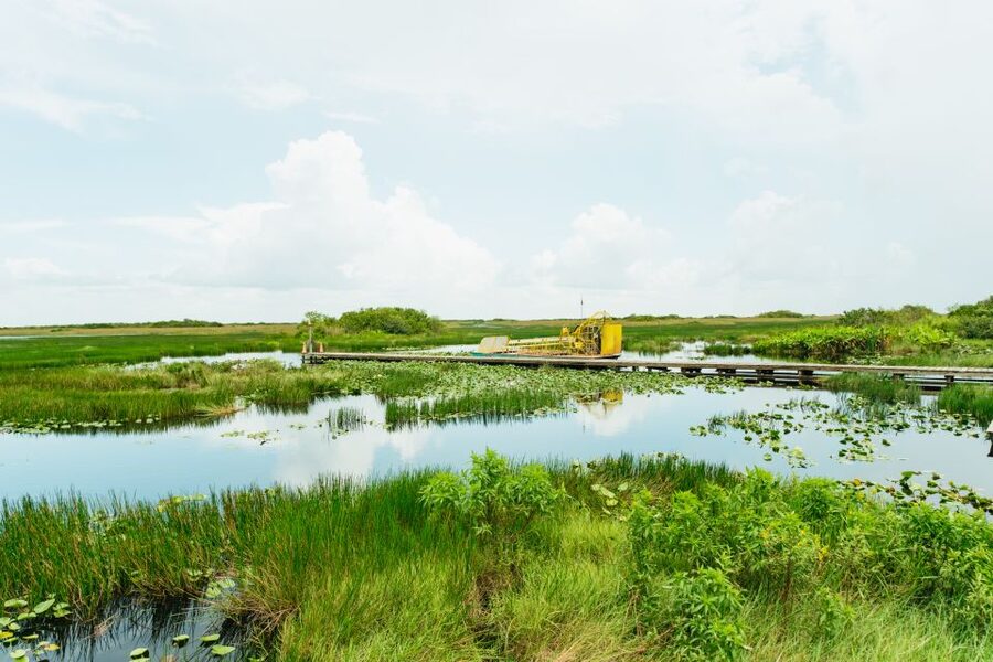 From Miami: Everglades Airboat Ride and Nature Walk - Why this Everglades tour feels more complete