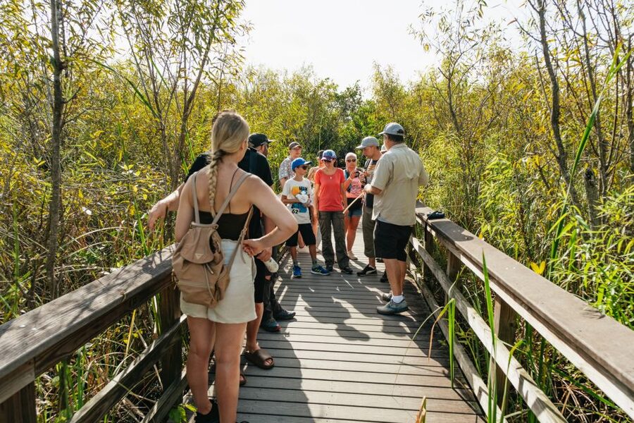 From Miami: Everglades Airboat Ride and Nature Walk - Should you book it?