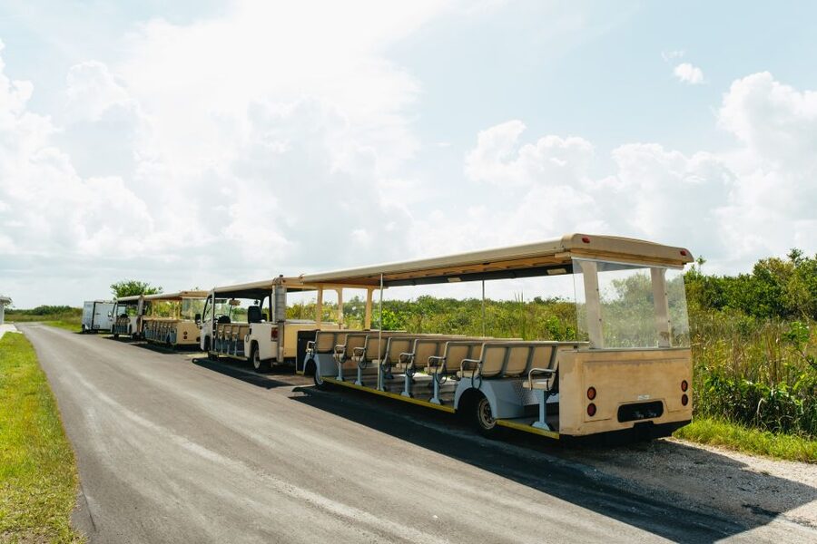 From Miami: Everglades Airboat Ride and Nature Walk - From your hotel to the park