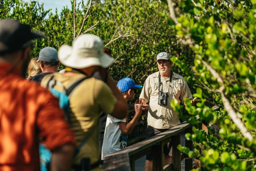 From Miami: Everglades Airboat Ride and Nature Walk - The airboat ride through alligator country