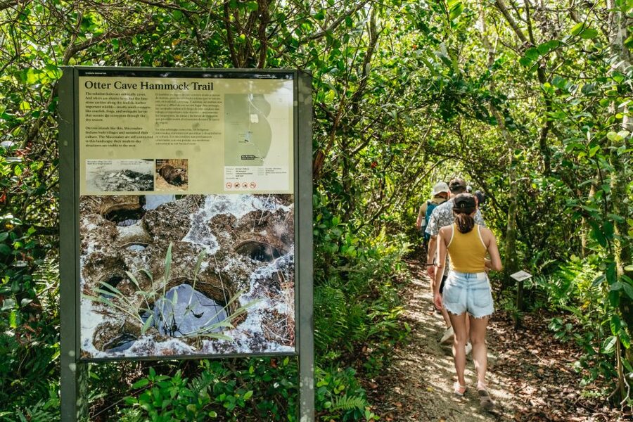 From Miami: Everglades Airboat Ride and Nature Walk - Practical advice before you go