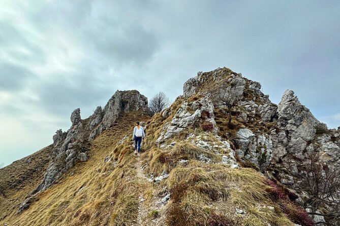 From Milan/Como/Varenna: Panoramic Hiking Tours near Lake Como - What is included and what is not