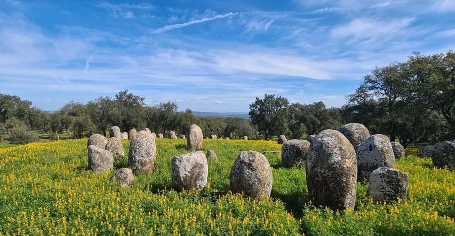 From Montemor or Évora: Guided Hike to Almendres Megalithic - Starting from Évora or Montemor-o-Novo