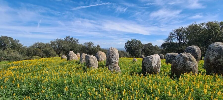 From Montemor or Évora: Guided Hike to Almendres Megalithic - Lunch in Valverde, with the bill separate