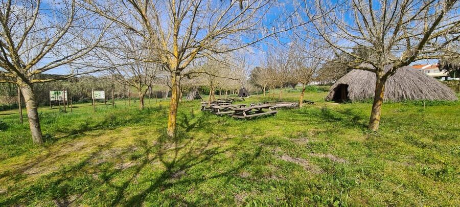 From Montemor or Évora: Guided Hike to Almendres Megalithic - What makes the guides valuable