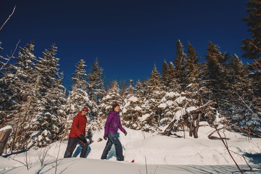From Montreal: Mont-Tremblant National Park Hiking Day Trip - Who should book this day trip?