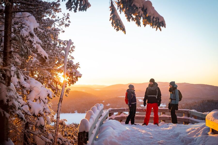From Montreal: Mont-Tremblant National Park Hiking Day Trip - Forest trails, waterfalls, and mountain views