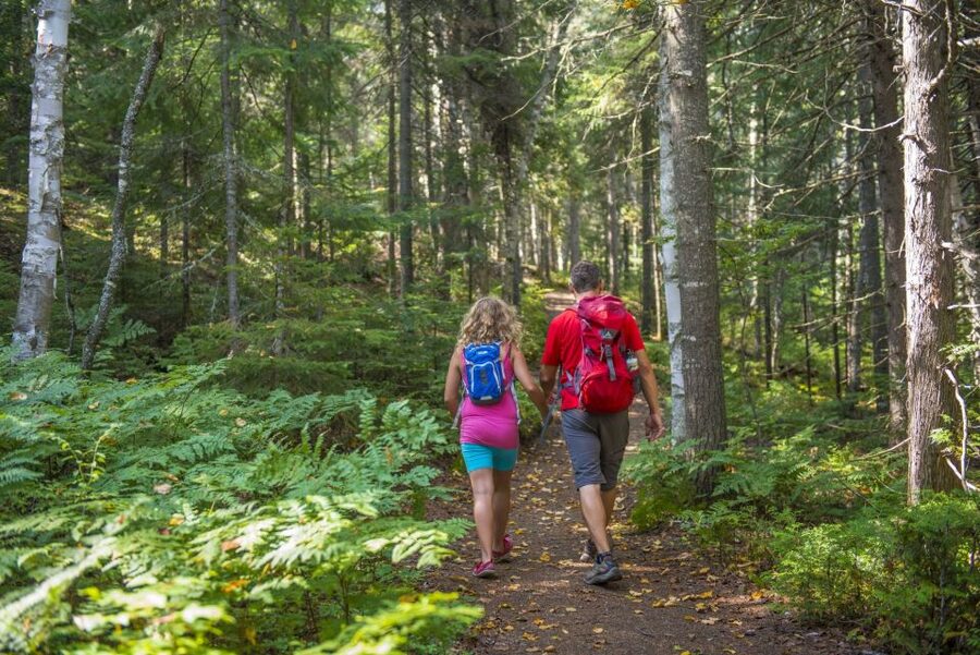 From Montreal: Mont-Tremblant National Park Hiking Day Trip - What to bring for a rain-or-shine hike