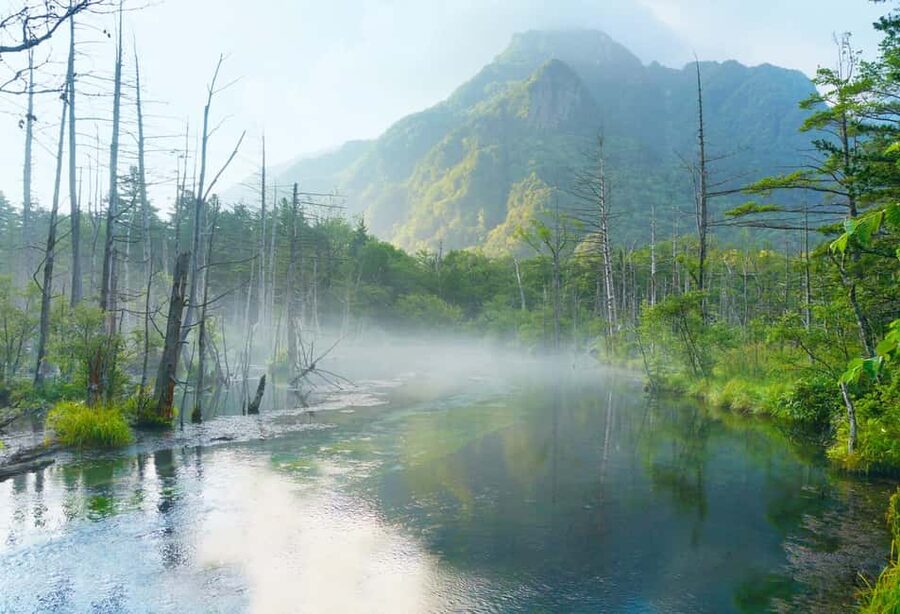 From Nagoya: Kamikochi Guided Hike in the Japanese Alps - Meeting at Nagoya’s Silver Clock