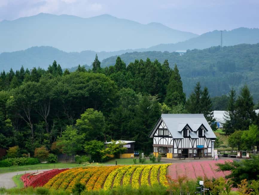 From Nagoya: Kamikochi Guided Hike in the Japanese Alps - Who should book this day