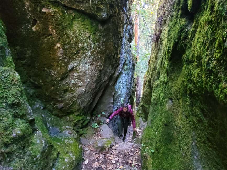 From Oaxaca: Sierra Norte Hike & Indigenous Village Full-Day - The 100-meter suspension bridge