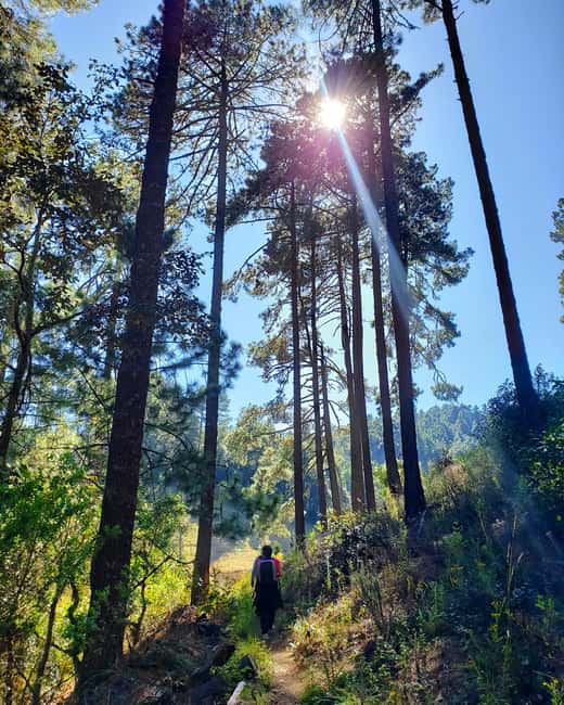 From Oaxaca: Sierra Norte Hike & Indigenous Village Full-Day - What to pack for Cuajimoloyas