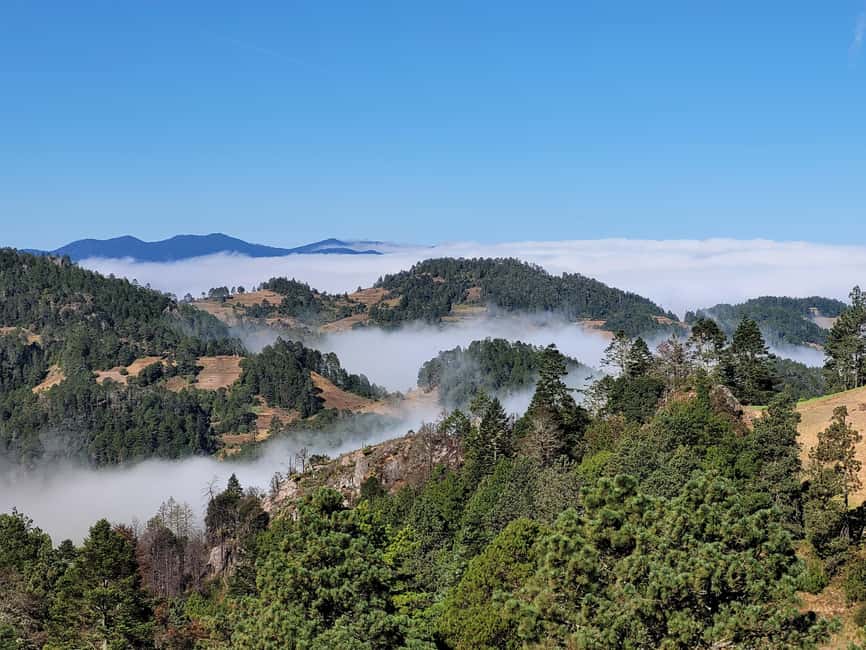 From Oaxaca: Sierra Norte Hike & Indigenous Village Full-Day - Memelas and coffee at 3,150 meters