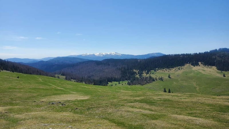 From Oradea: Apuseni Mountains Guided Hiking Tour - Key points at a glance
