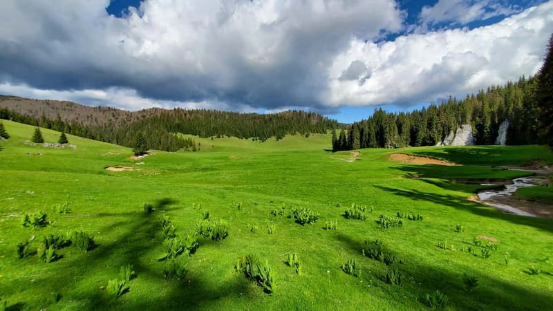 From Oradea: Apuseni Mountains Guided Hiking Tour - Why this Apuseni route works so well