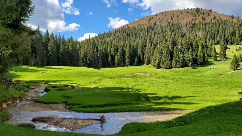 From Oradea: Apuseni Mountains Guided Hiking Tour - Glăvoi Stables and a taste of mountain life