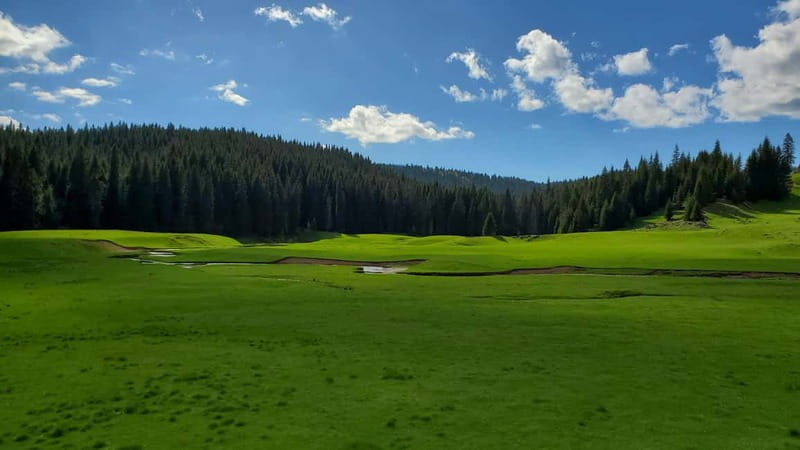 From Oradea: Apuseni Mountains Guided Hiking Tour - The Ponor Plain, the route’s main highlight