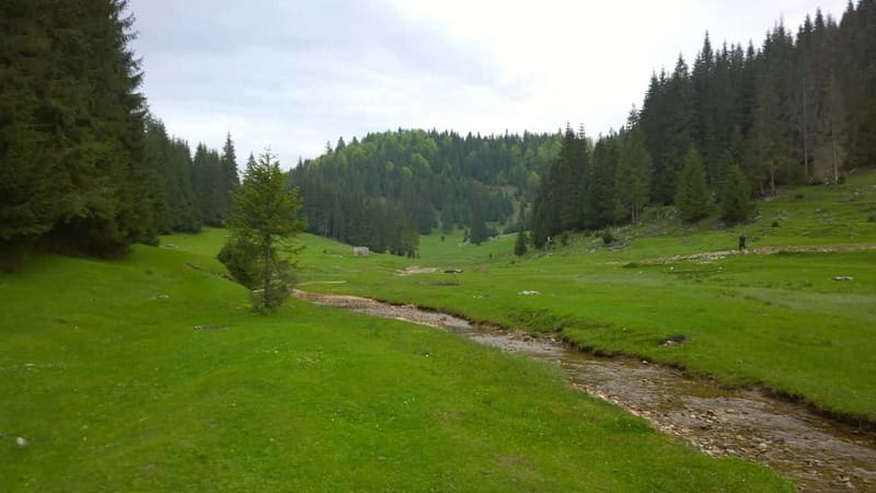 From Oradea: Apuseni Mountains Guided Hiking Tour - Price, pickup, and what the $93 covers
