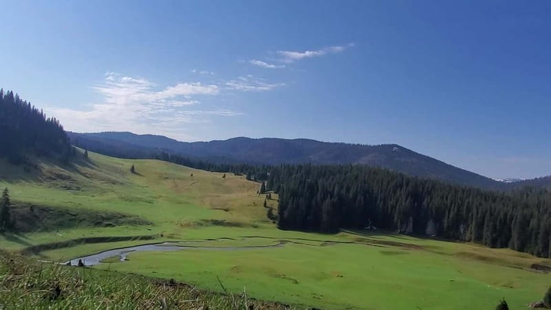 From Oradea: Apuseni Mountains Guided Hiking Tour - Should you book the Apuseni hiking tour?