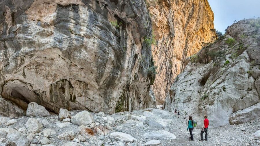 From Orosei or Dorgali: Gorropu Canyon Guided Hike - Crossing the Flumineddu River and entering the woods