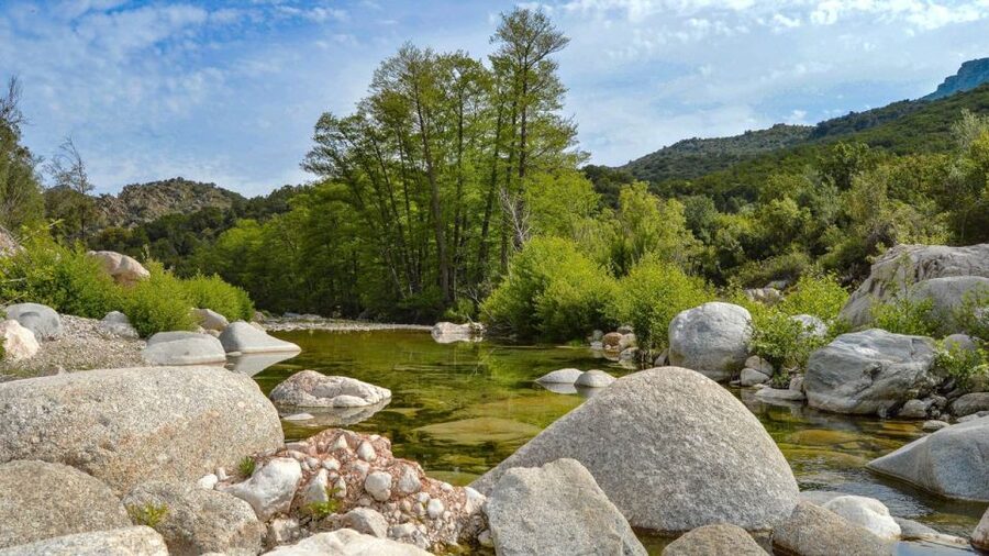 From Orosei or Dorgali: Gorropu Canyon Guided Hike - Looking for salamanders, mouflons, and rare plants