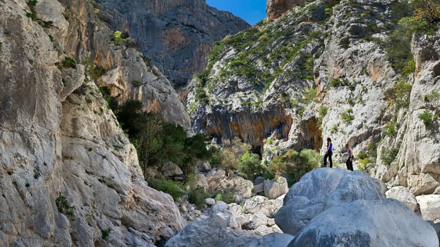 From Orosei or Dorgali: Gorropu Canyon Guided Hike - What the $77 price really covers