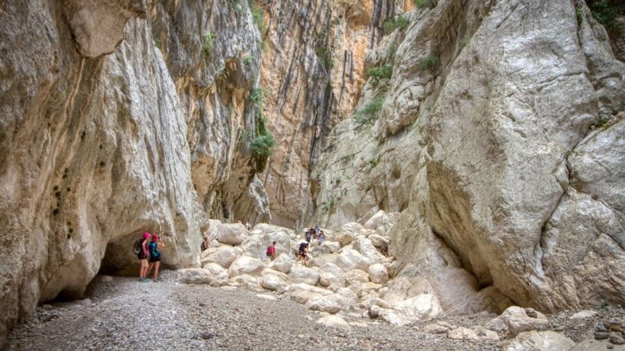 From Orosei or Dorgali: Gorropu Canyon Guided Hike - The guide can shape the whole day