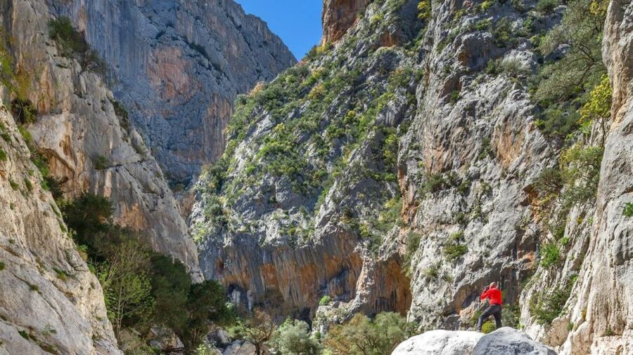 From Orosei or Dorgali: Gorropu Canyon Guided Hike - The 45-minute ride from Orosei or Dorgali