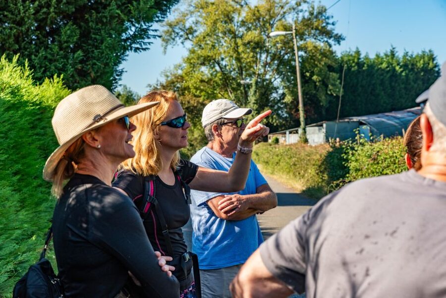 From Oviedo: Half-Day Camino de Santiago Hike - What the guide adds to the walk