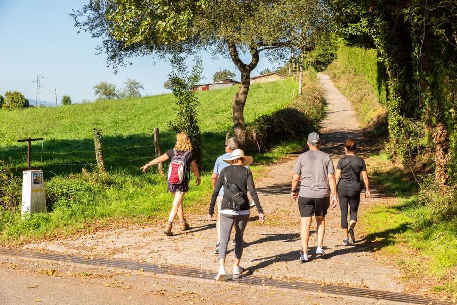 From Oviedo: Half-Day Camino de Santiago Hike - A gentle introduction, not a full pilgrimage